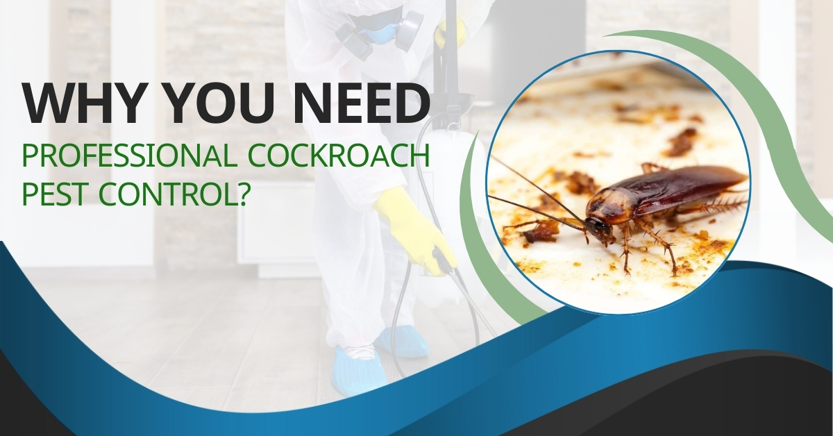 Why You Need Professional Cockroach Pest Control? | Revamped Pest Management