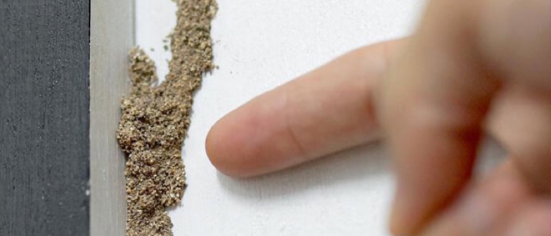 Termite mud tube on home wall — Revamped Pest Management performs Phoenix termite inspections